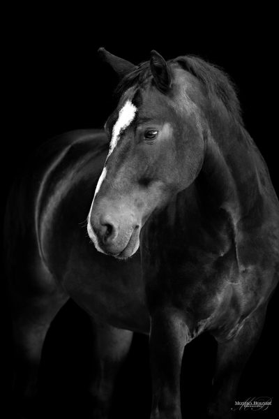 11 _X7A1906 sw Internetdatei