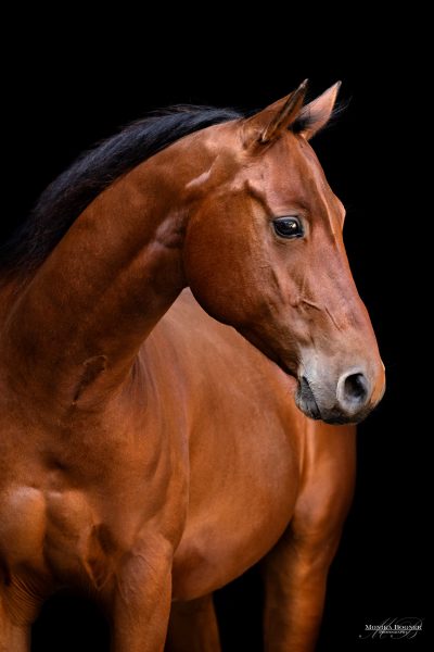 12 _X7A1769 Kopie Internetdatei