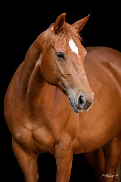 13 _X7A1575 Internetdatei