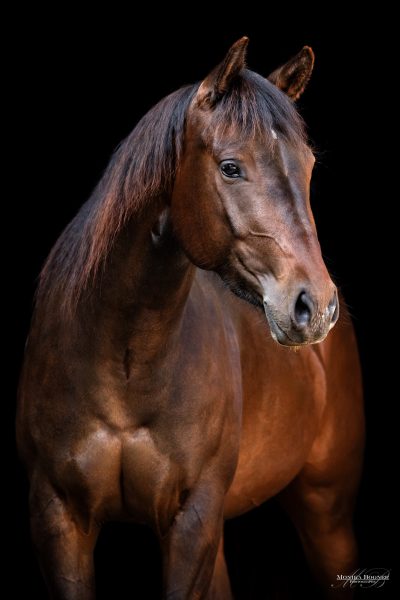 14 _X7A1530 Internetdatei