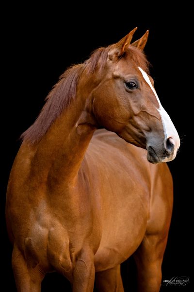 15 _X7A1314 Kopie Internetdatei